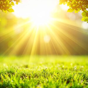 Trancehealing Session